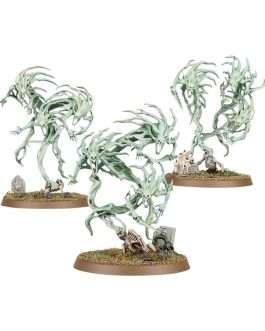 SPIRIT HOSTS – WH Age of Sigmar: Nighthaunt