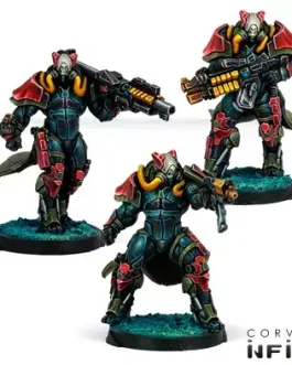 Rodoks, Armed Imposition Detachment – Infinity: Combined Army