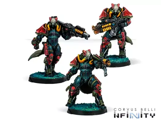 Rodoks, Armed Imposition Detachment - Infinity: Combined Army
